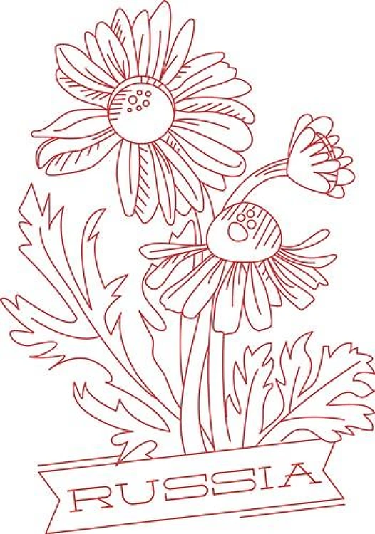 Russia Daisy