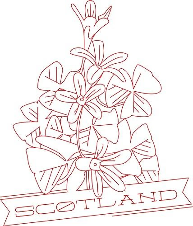 Scotland Shamrocks
