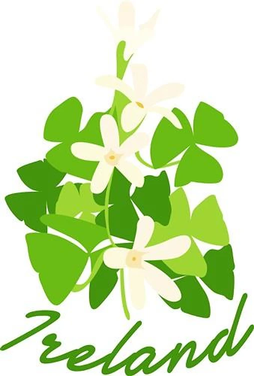 Ireland Shamrocks