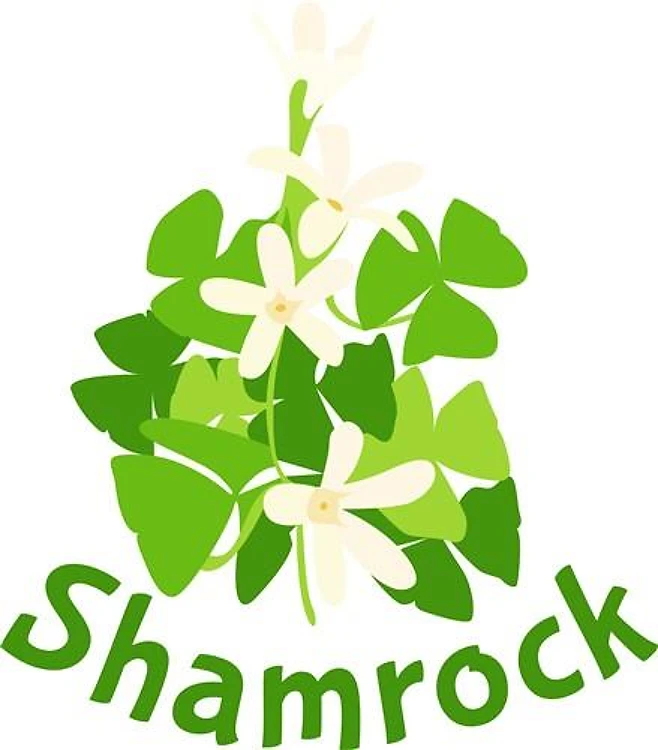 Shamrock