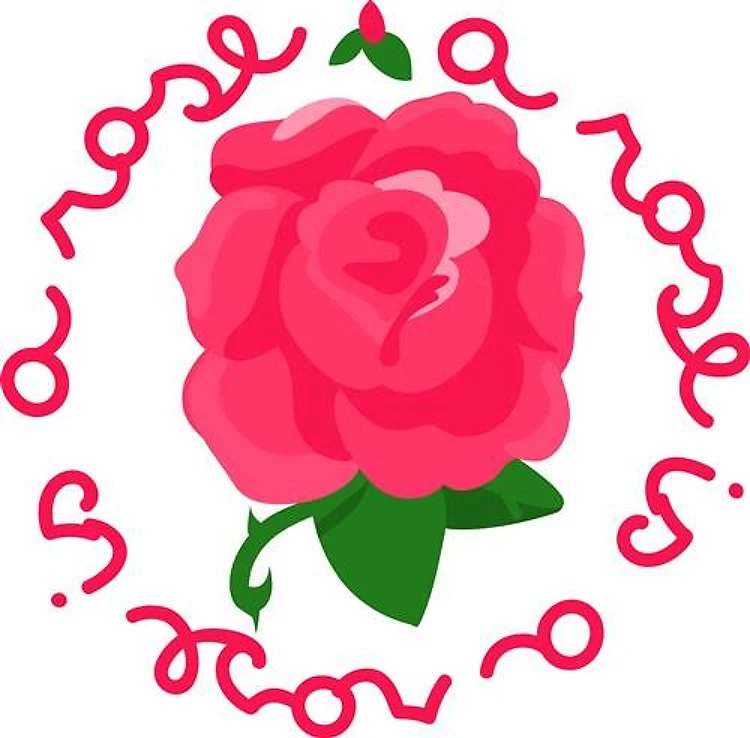A Rose