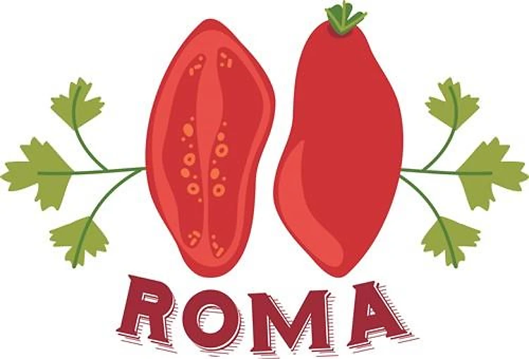 Roma