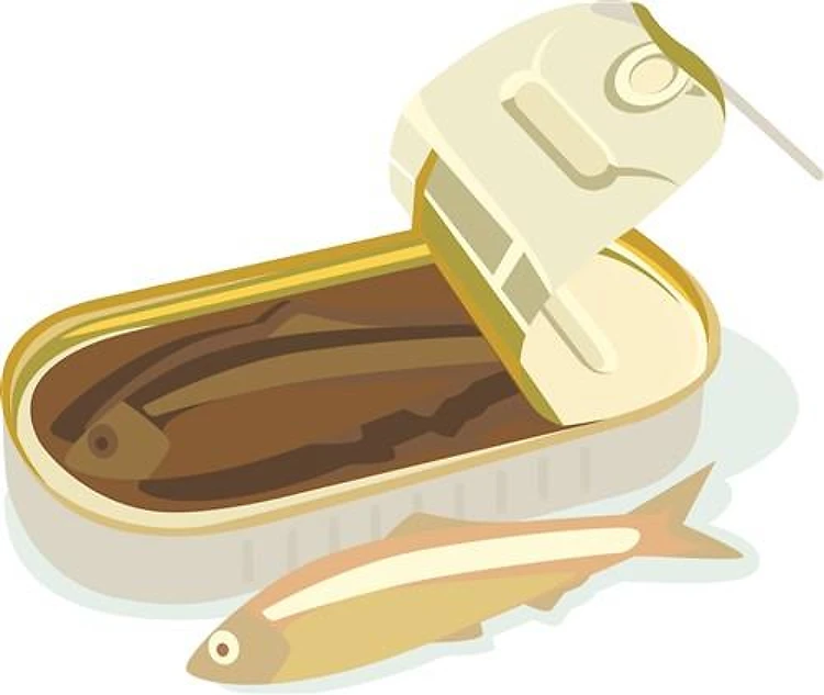 Tin of Sardines