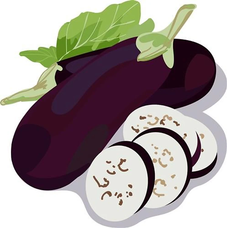 Eggplant Slices