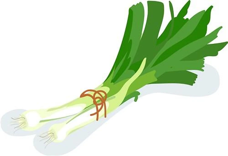 Leek Bunch