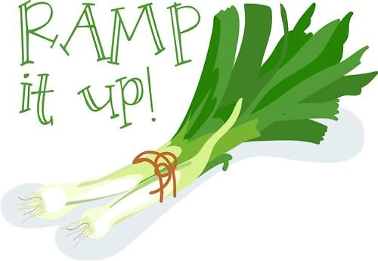 Ramp It Up