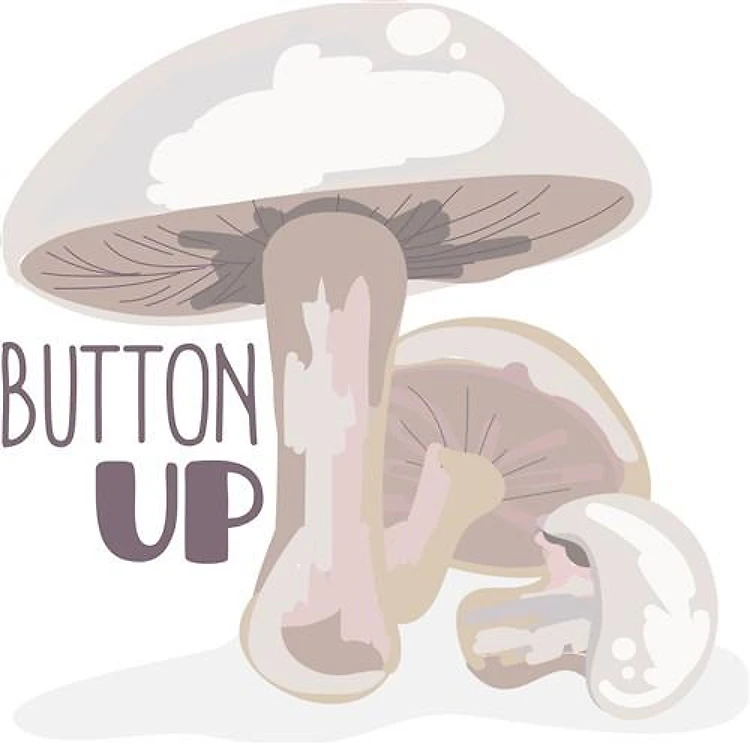 Button Up