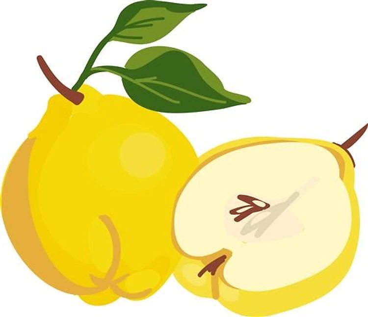 Quince Fruit