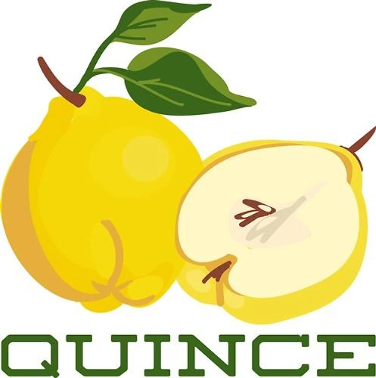 Quince Food