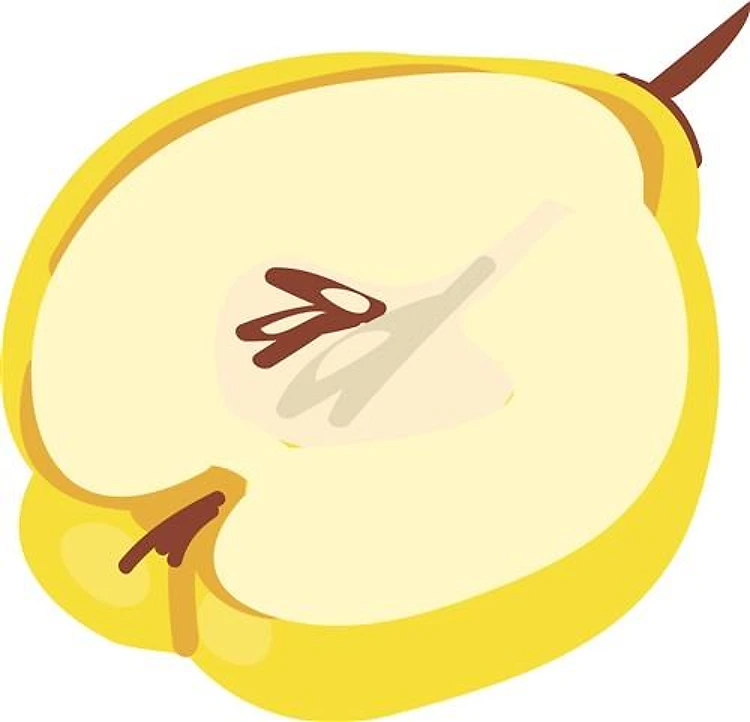 Quince Slice