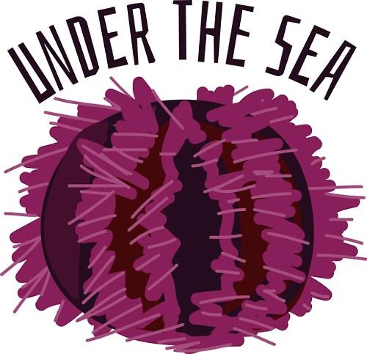 Under the Sea