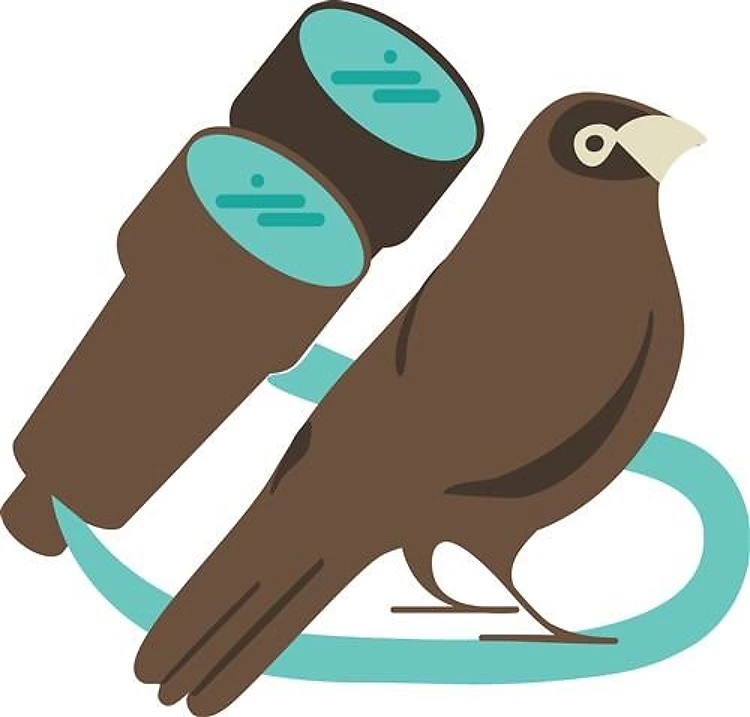 Binoculars Bird