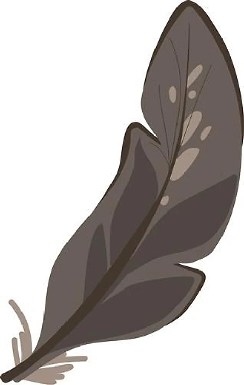 Bird Feather