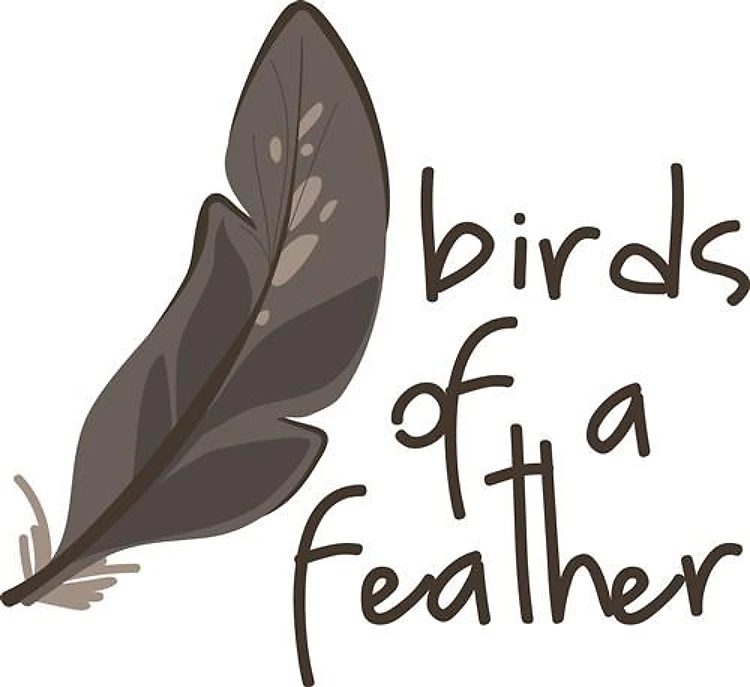 Birds Feather
