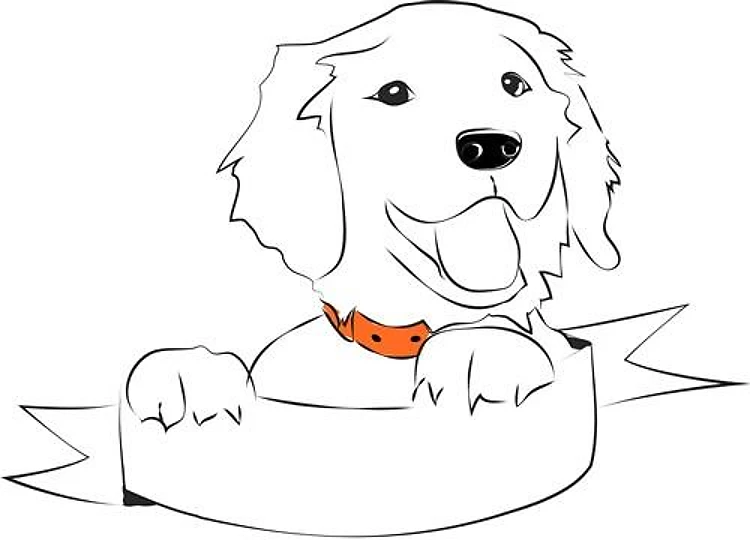 Cute Puppy