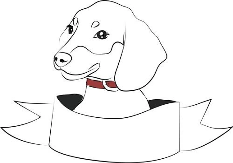 Cute Dachshund