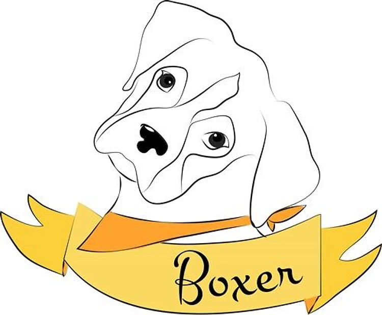 Boxer