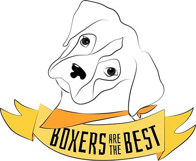 Boxer Is The Best
