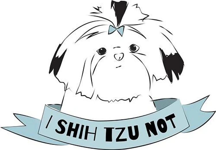 Shih Tzu