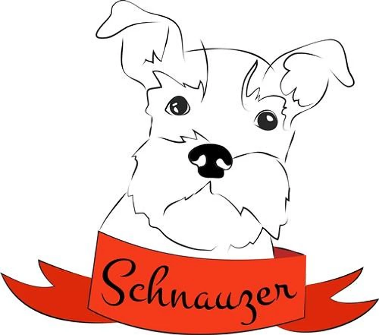 Schnauzer