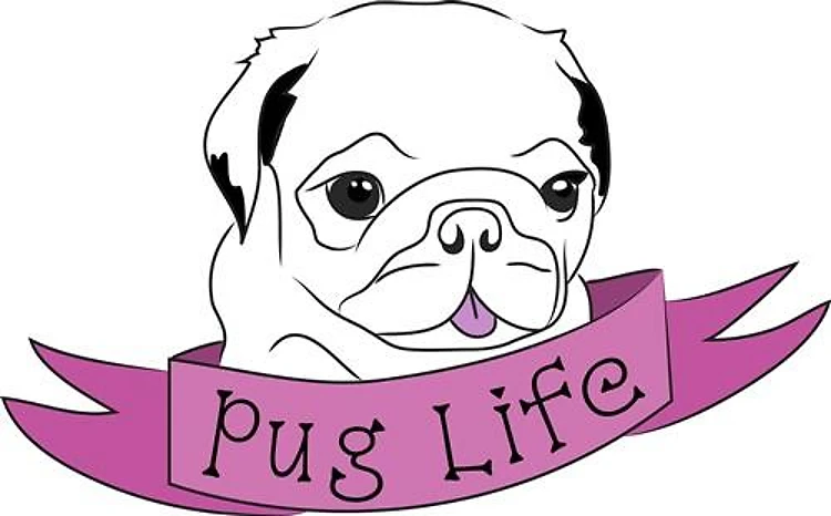 Pug Life