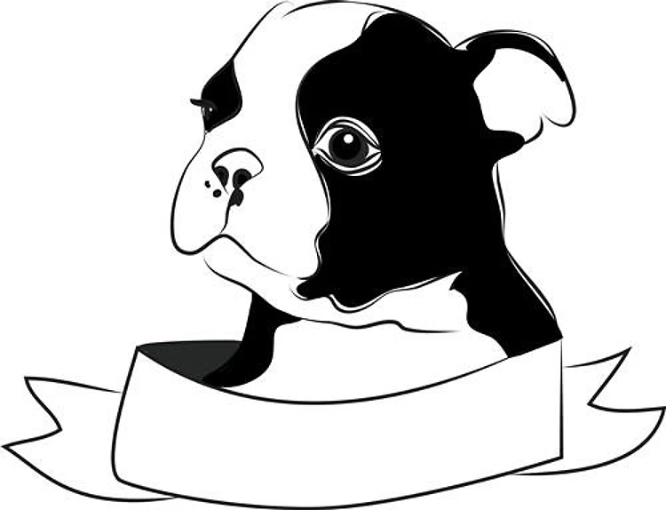 Cute Terrier