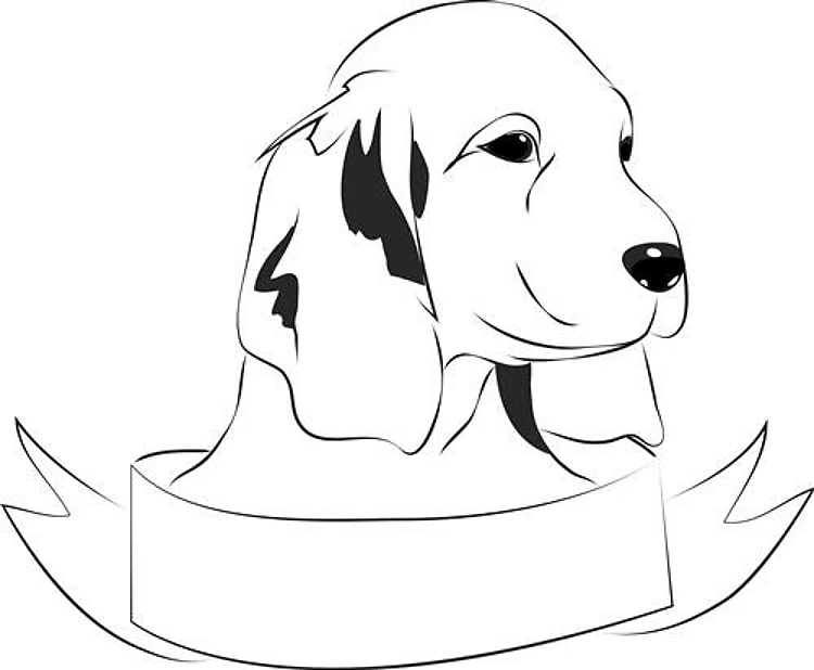 Cocker Spaniel