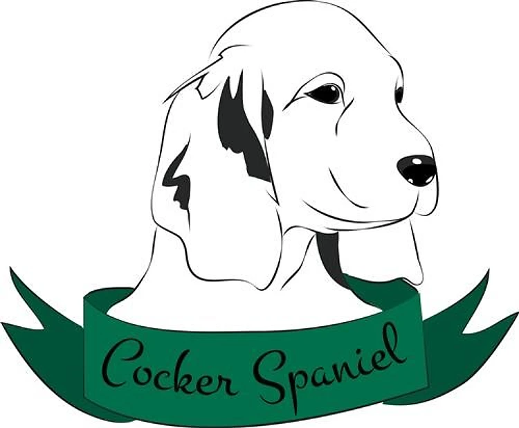 Cocker Spaniel Head