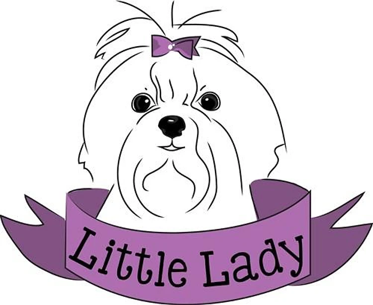 Little Lady