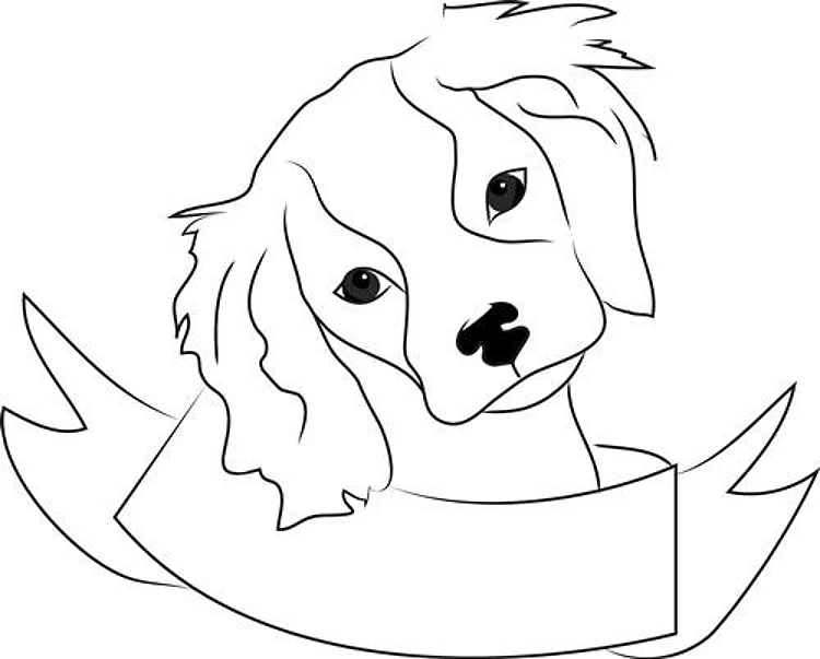 King Charles