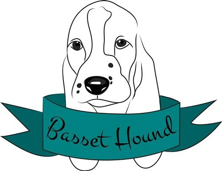 Basset Hound