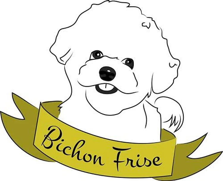 Bichon Frise