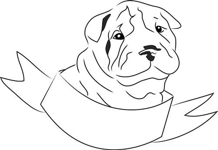 Shar Pei Head
