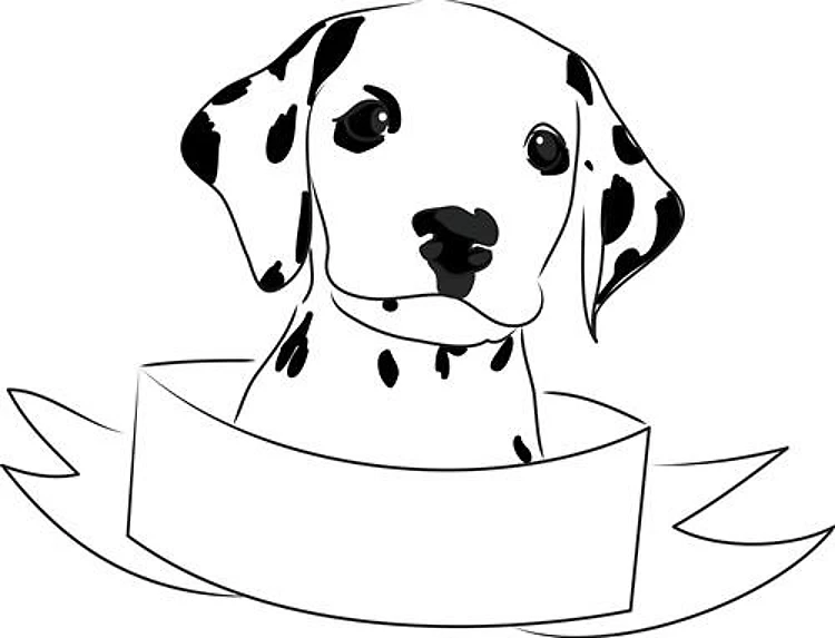 Dalmatian Head