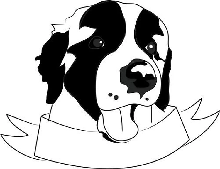 Saint Bernard