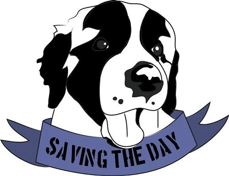 Saving The Day