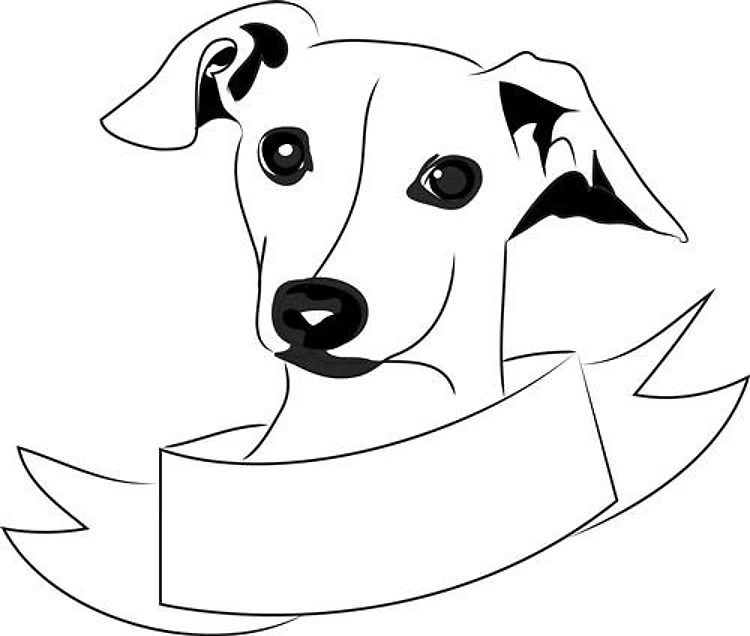 Greyhound Head