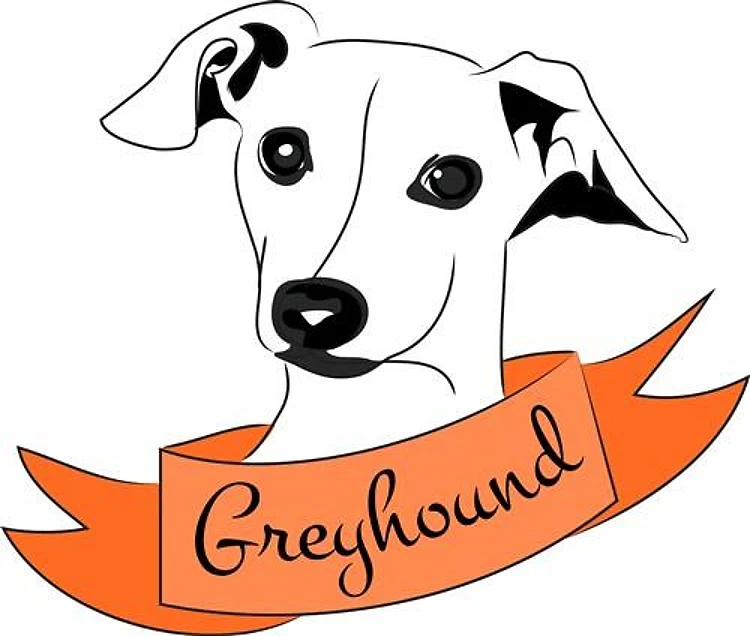 Greyhound
