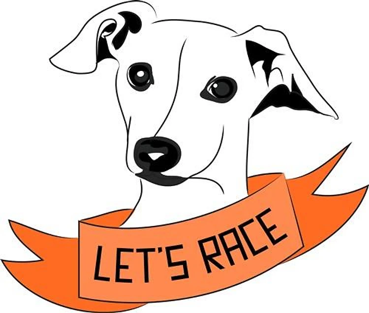 Lets Race