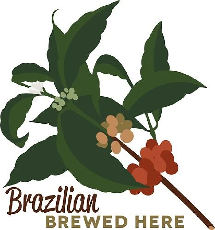 Brazilian Brew