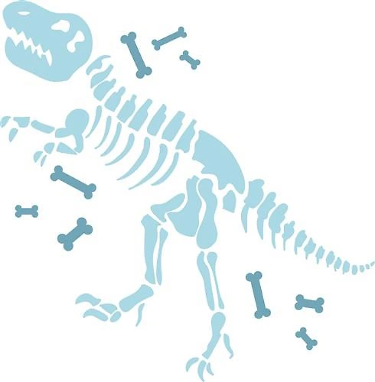 Dinosaur Fossils
