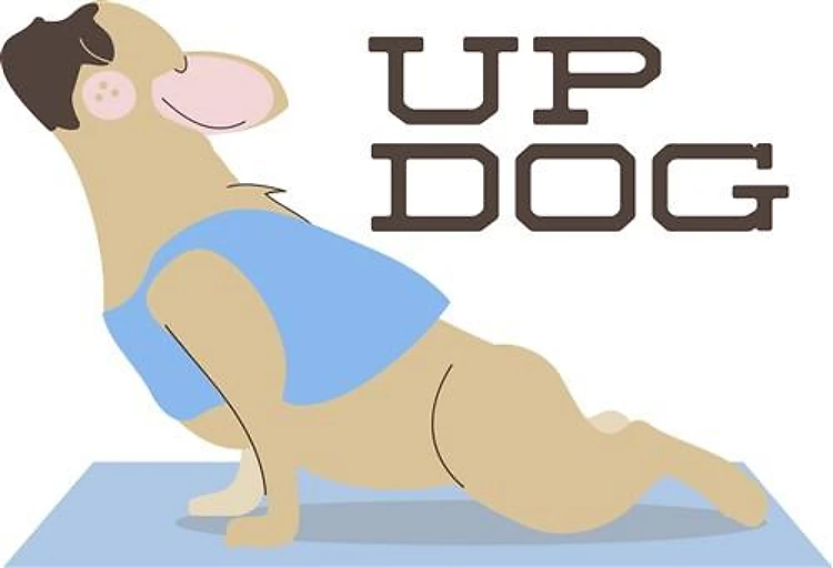 Up Dog