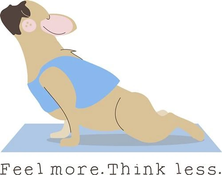 Feel More