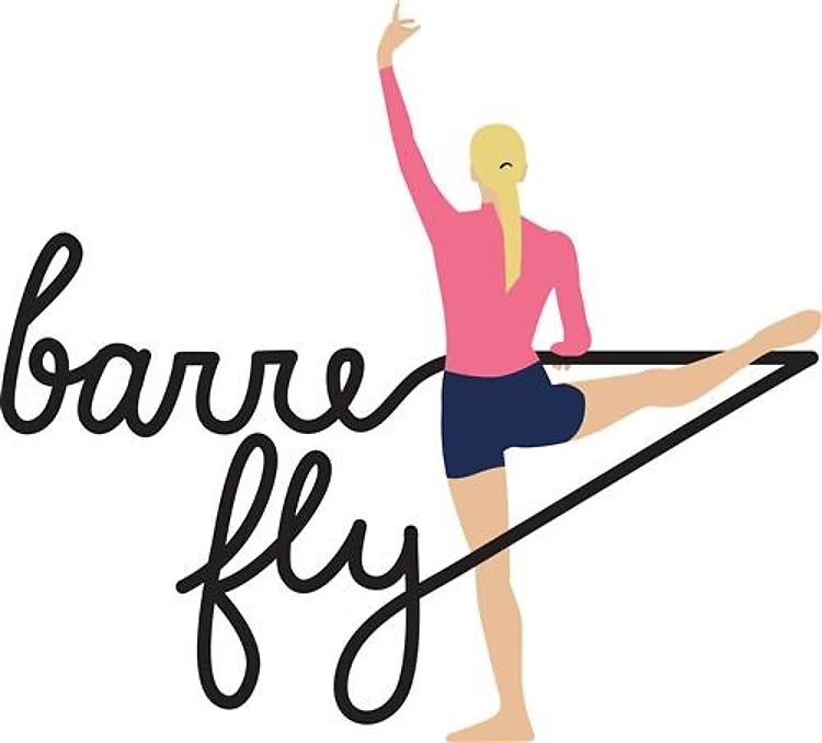 Barre Fly