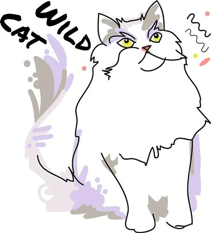 Wild Cat