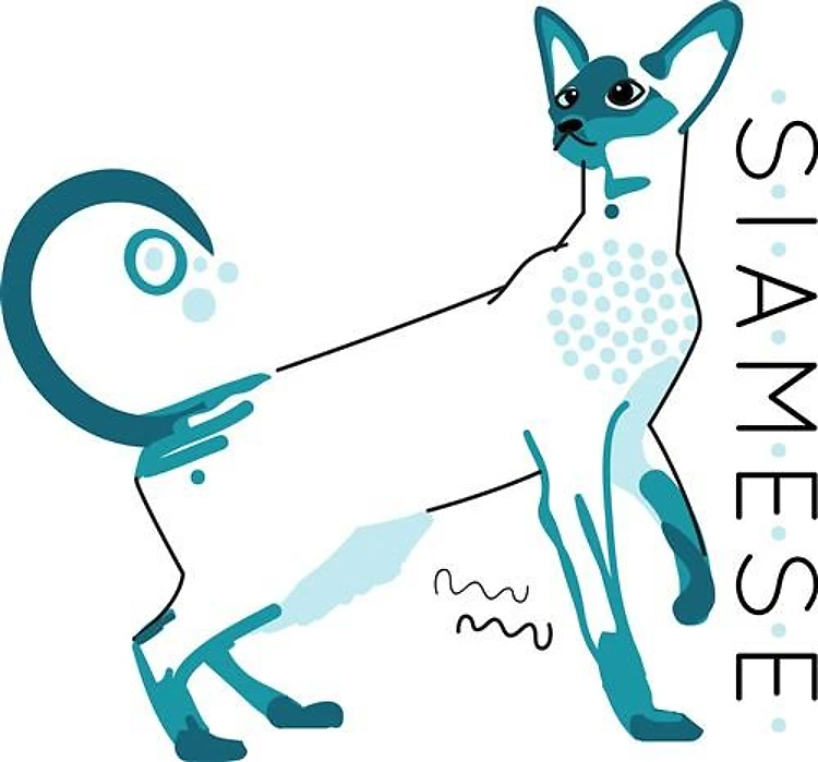 Siamese