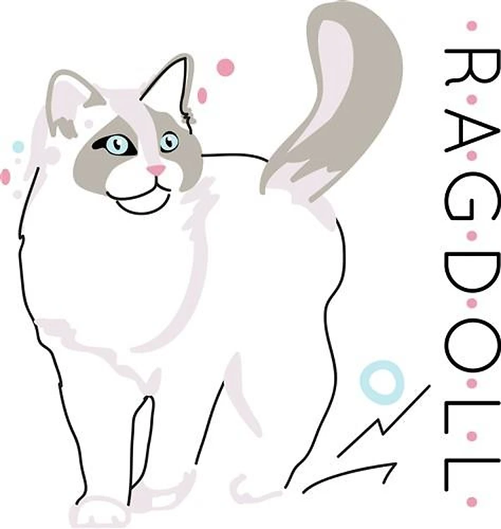 Ragdoll