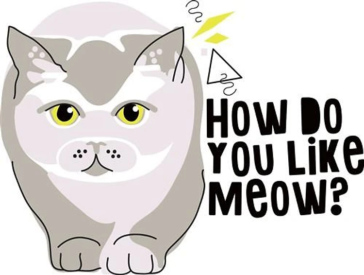 You Like Meow
