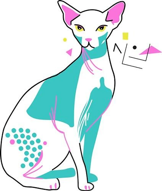 Sphynx Cat