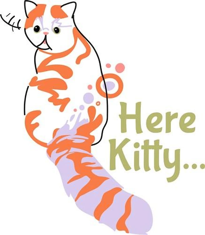 Here Kitty